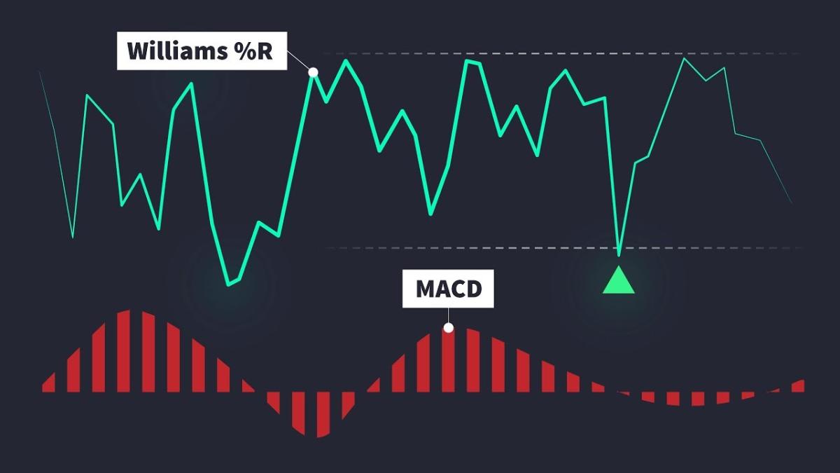 Williams R indicator